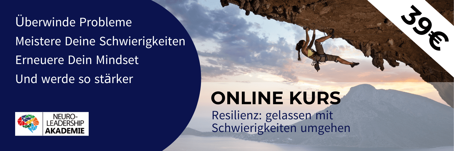 Resilienz Online-Kurs Banner